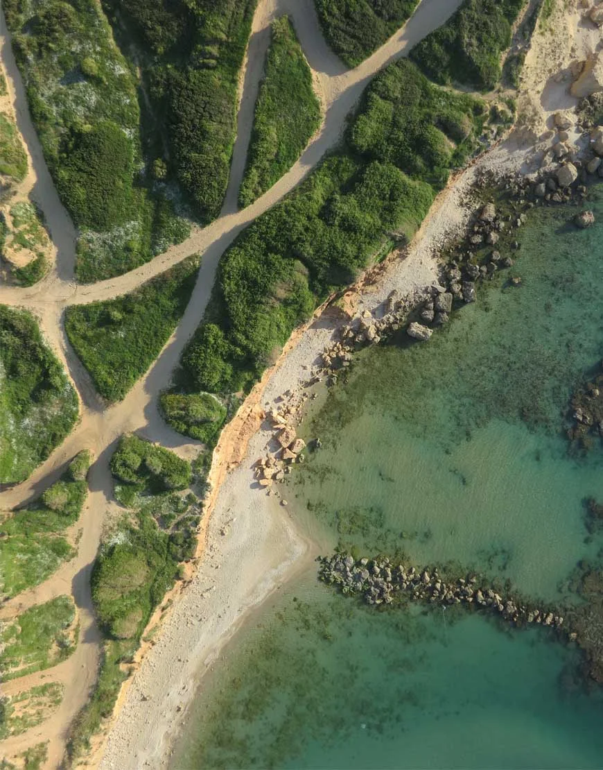Orthophoto output