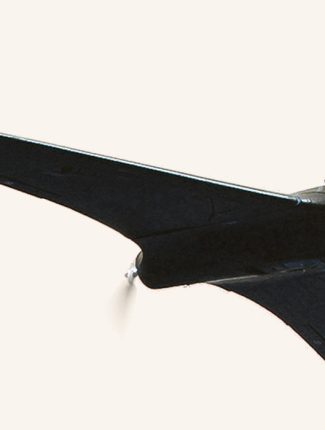 Fixed-wing Fixed-wing