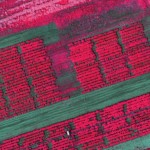 Red Edge mapping